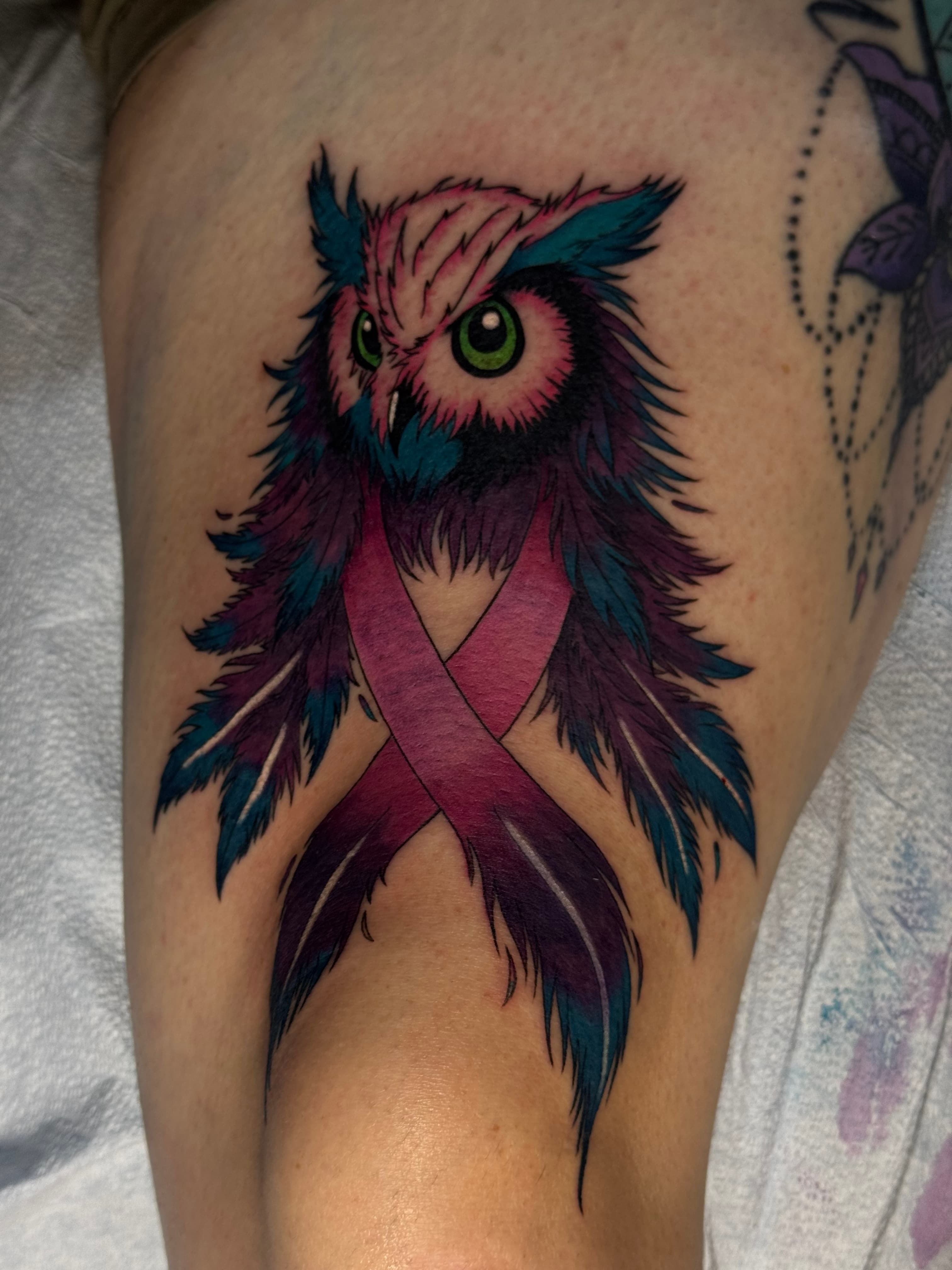 Colorful Owl
